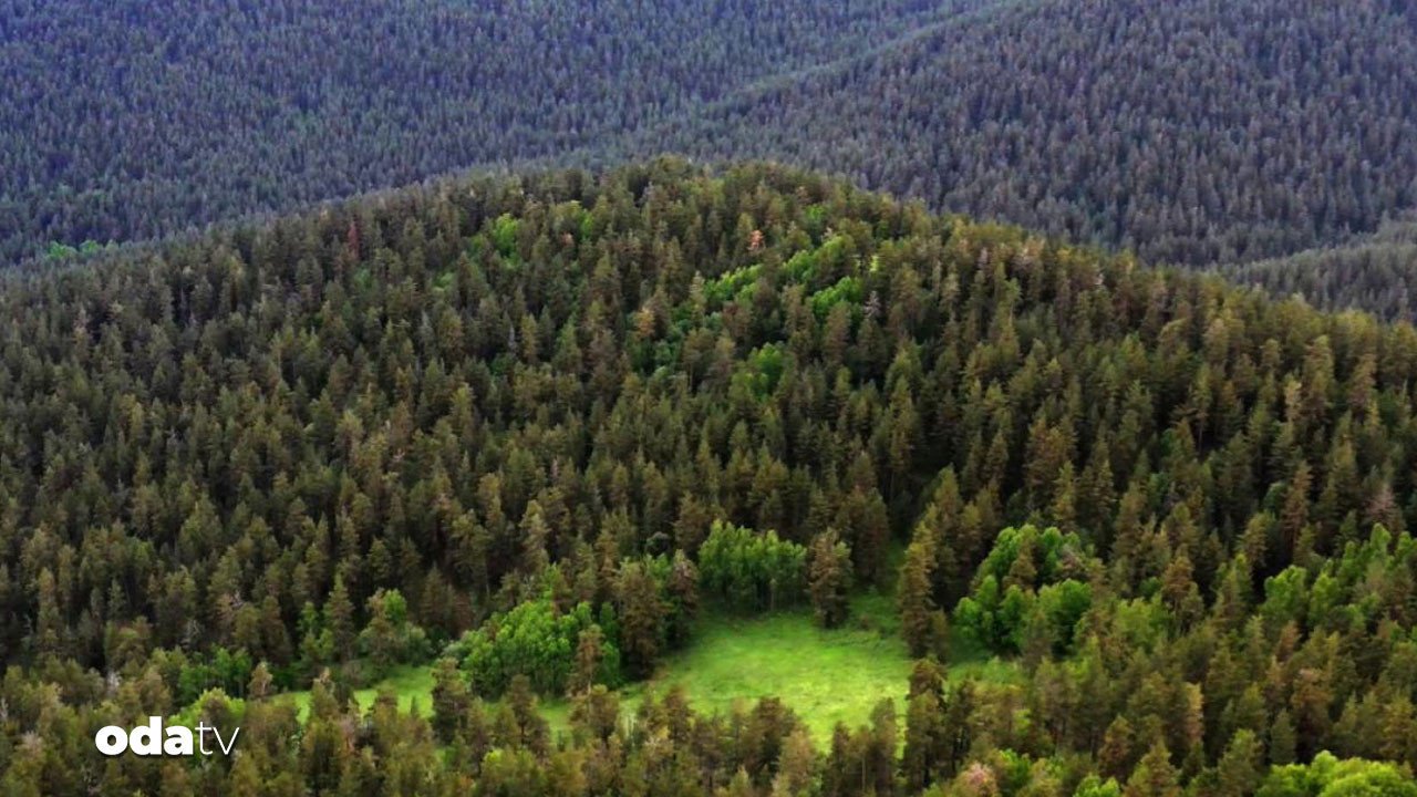 cevre kanunu degisiyor cezalar uctu AXctmYS8.jpg