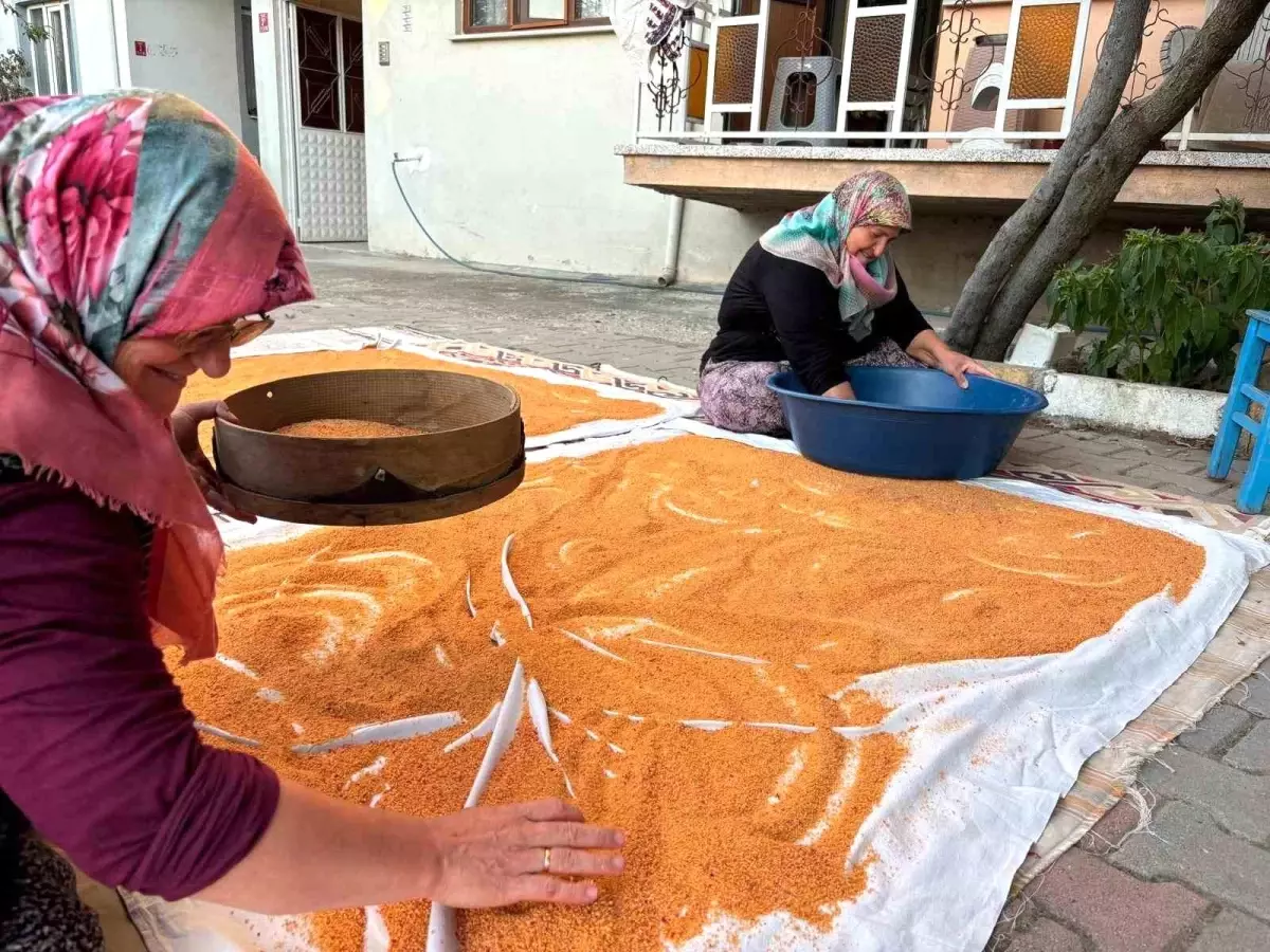 sindirgida geleneksel tarhana hazirligi ScAHzttK.jpg