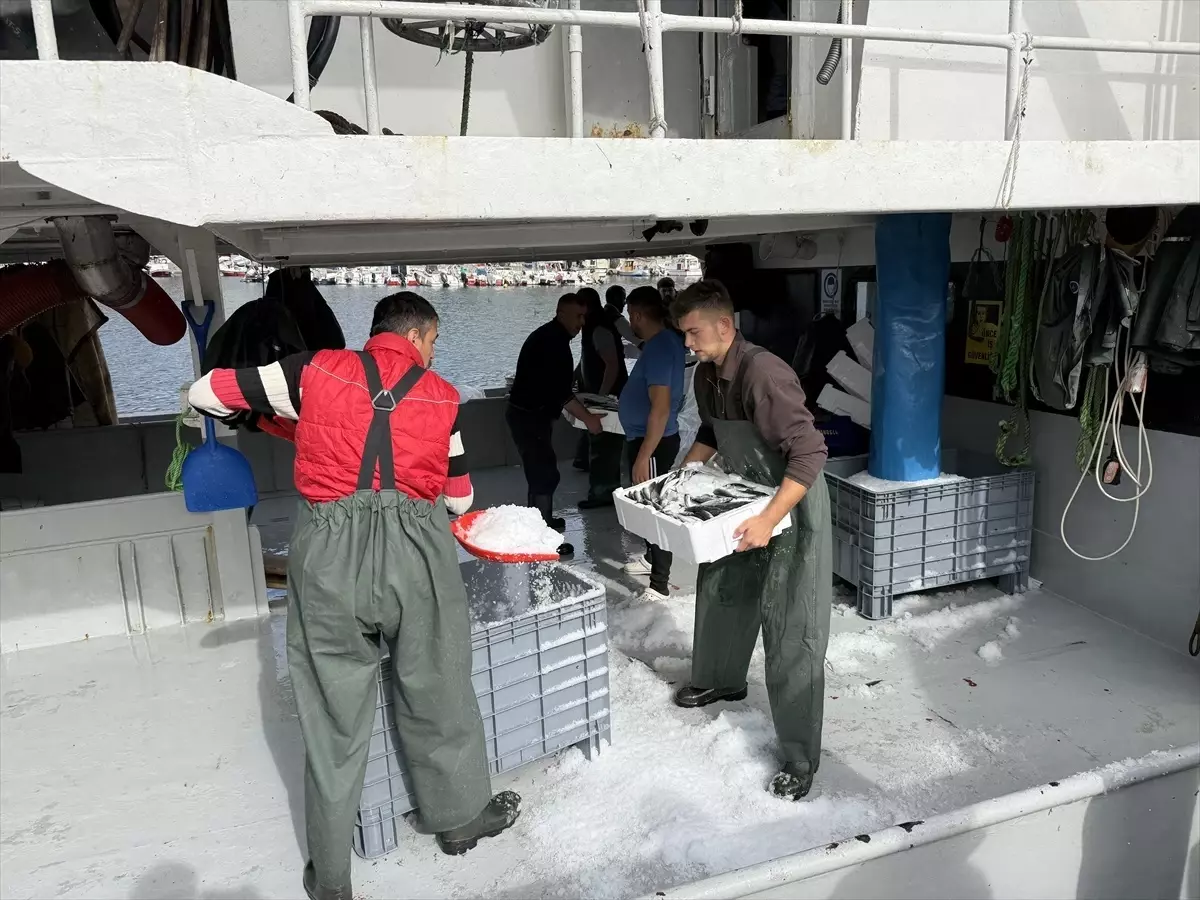 tekirdagli balikcilar istavritle dolu donuyor PQwJcMfz