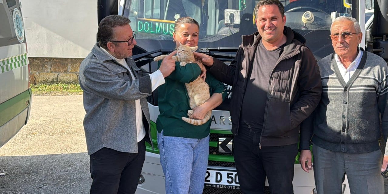 dolmus soforleri kedi icin seferber oldu ameliyat masrafini karsiladilar bakin ismini ne koydular Yg9dN6AQ.jpg