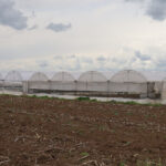 atlas-featured-18517-1775838709-iAgLmR-1