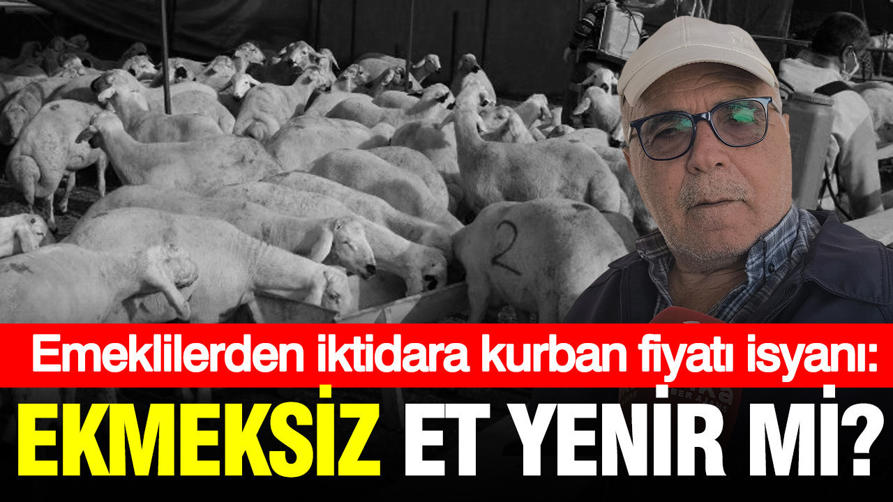 Emeklilerden Kurban Fiyatlarına Tepki: “Önceden Kurban Alıyorduk, Şimdi Sadece Artıklarıyla Yetiniyoruz”