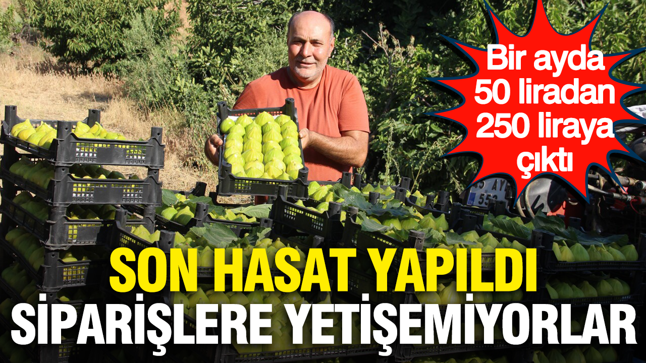 Bir ayda 50 liradan 250 liraya cikti son hasat yapildi siparislere yetisemiyorlar ANqiYeu5